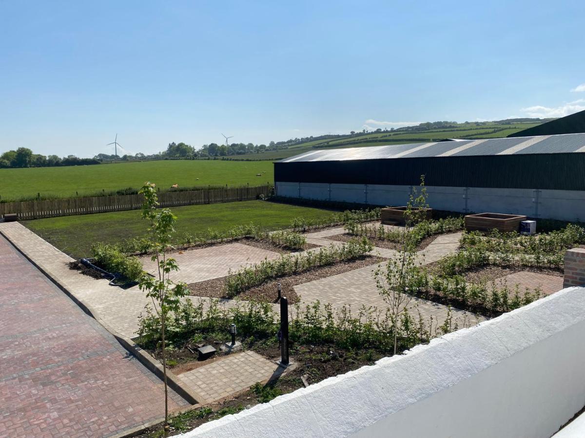 Ballymullock Barn Lofts Carncastle Exterior foto